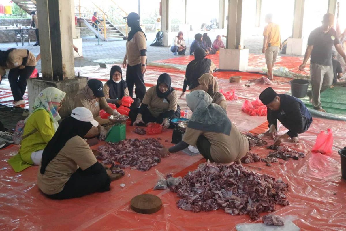 Qurban PT SRI